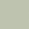 seagrass