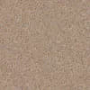 S-206 Wet Sand
