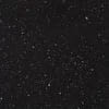 P-005 Nightgleam